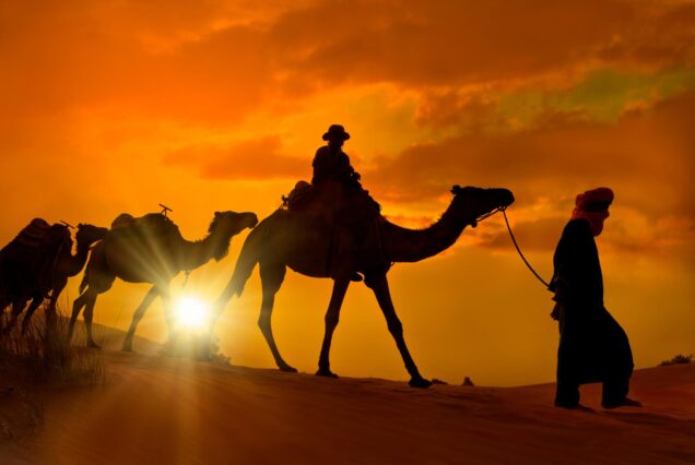 8-day Morocco desert tour from Casablanca